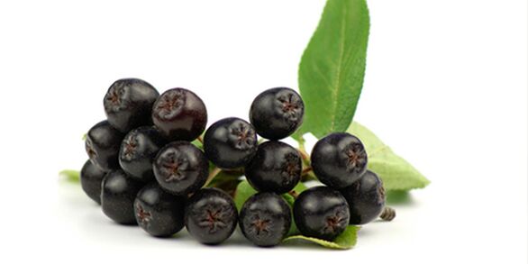 Frutos de fresno de montaña negro útiles para la diabetes. 